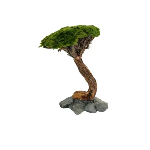 Marimo Tree Figure L2 28f