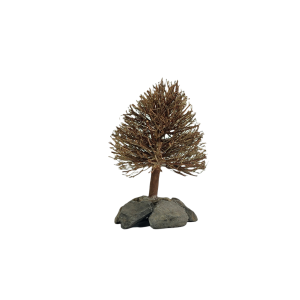 Pine Figure M