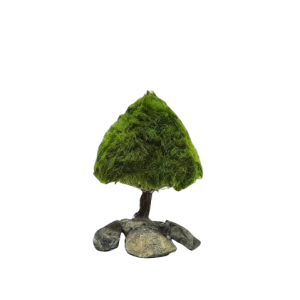 Marimo Pine Figure S