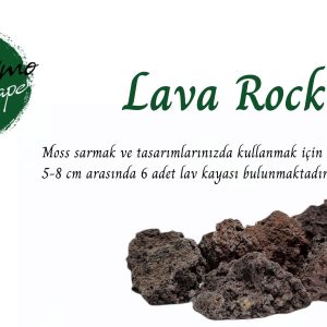 Lava Rock