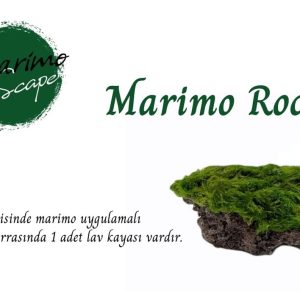 Marimo Rock