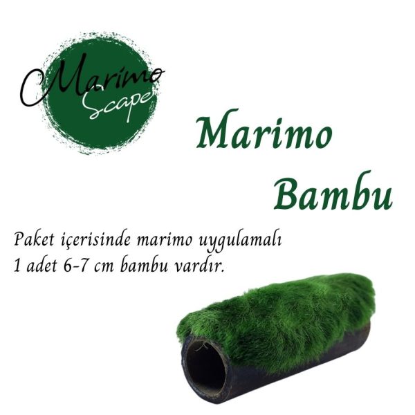 Marimo Bamboo