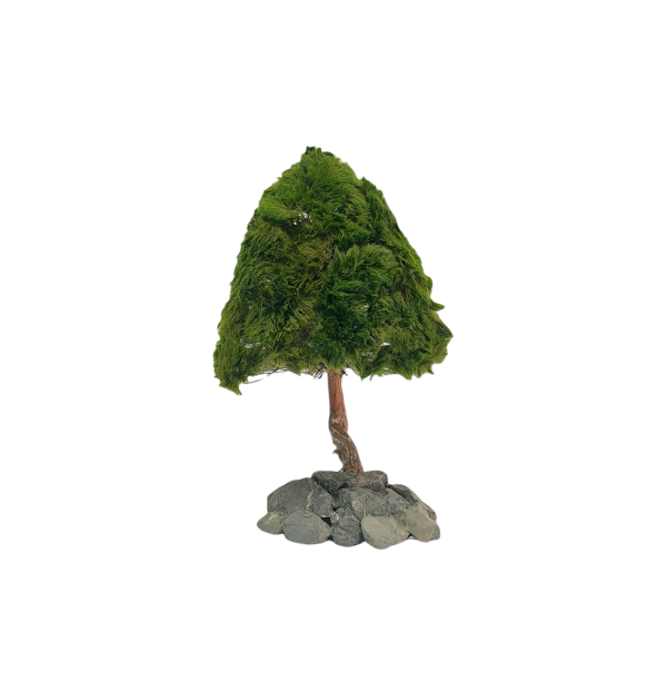 Marimo Pine Figure L