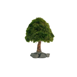 Marimo Pine Figure M