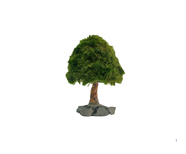 Marimo Pine Figure M