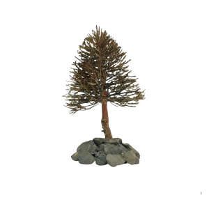 Pine Figure L