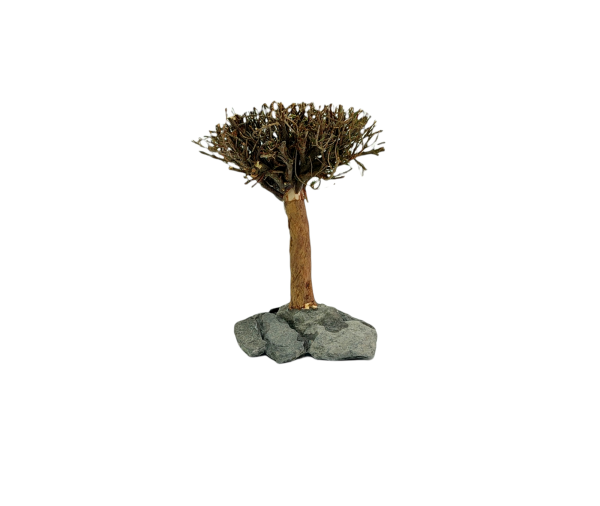 Tree Figure S3