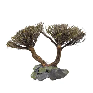 Double Tree Figure M 34a