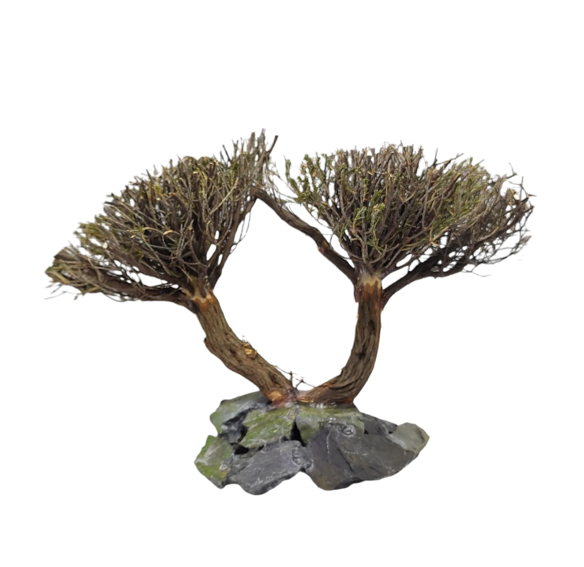 Double Tree Figure M 34a