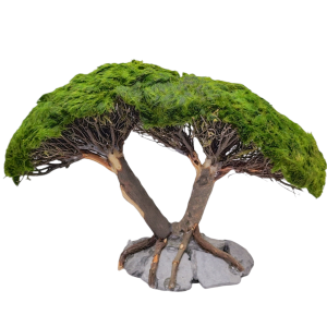 Marimo Double Tree Figure L