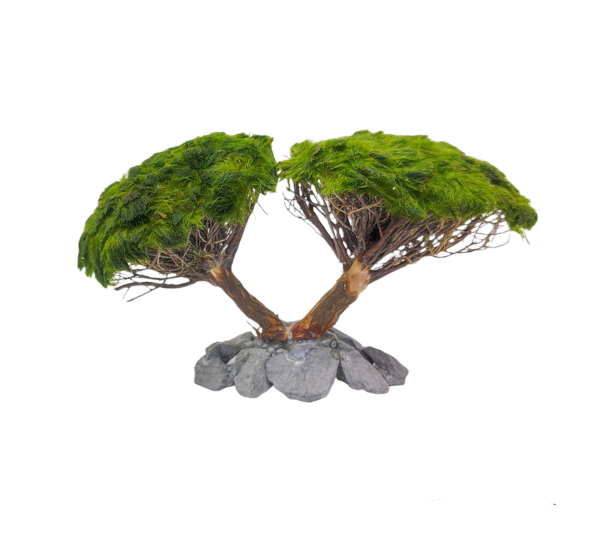 Marimo Double Tree Figure M
