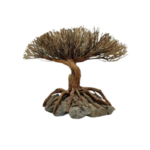 Special Tree Figure