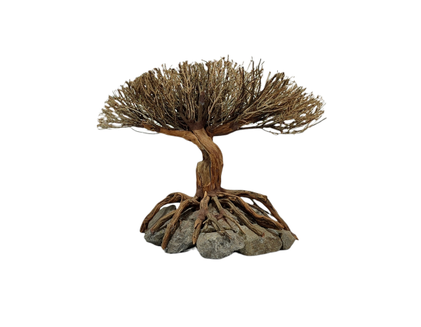 Special Tree Figure