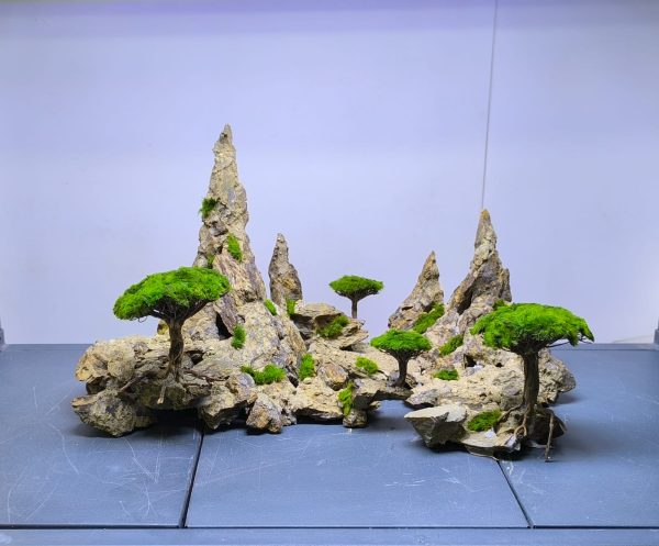 Tasarım 02