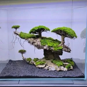 IMG 20250228 202617