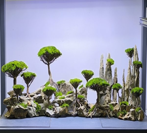 Tasarım 10