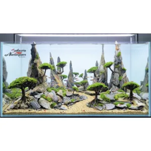 akvaryum bonsai agac tasarimi 01 1