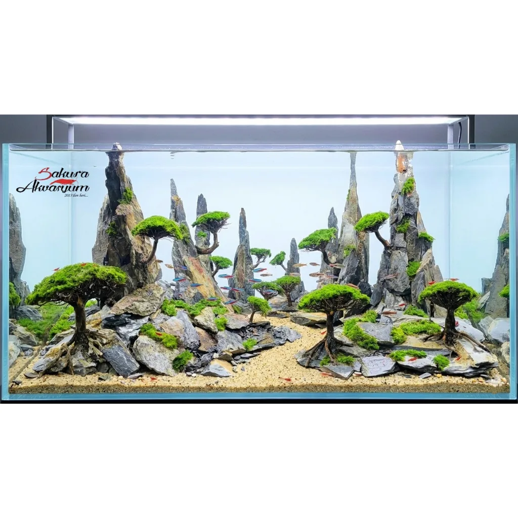 akvaryum bonsai agac tasarimi 01 1