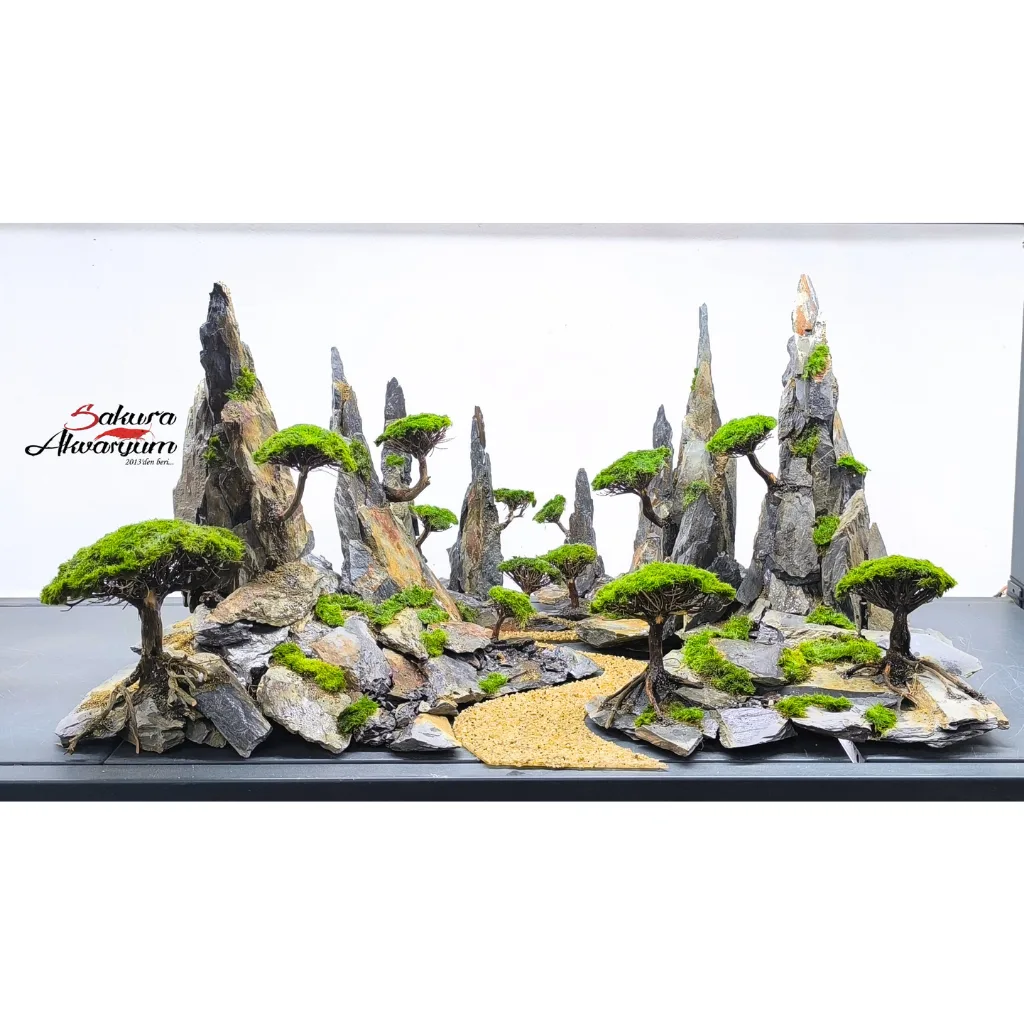 akvaryum bonsai agac tasarimi 01