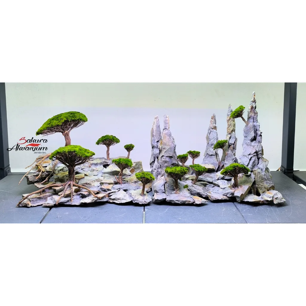 akvaryum bonsai agac tasarimi 10 2 1