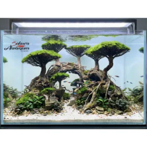 akvaryum bonsai agac tasarimi 07 1