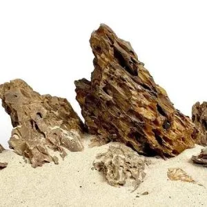 wio dragon stone